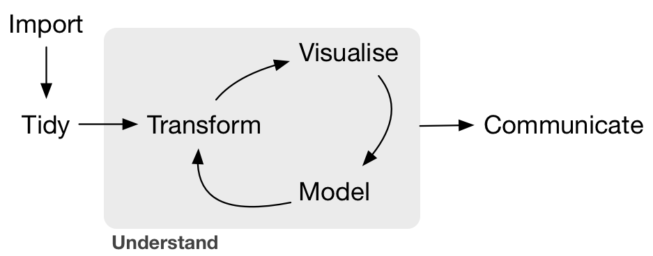 Hadley Wickham and Garrett Grolemund of RStudio's book R for Data Science